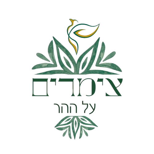 עיצוב-ללא-שם-19